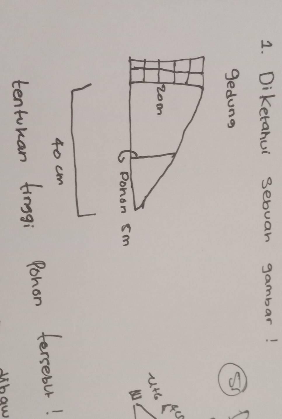 Diketanui sebuar gambar! 
gedung Sh 
Zom 
ute A 
Gpohon sm
40 cm
tentokan tinggi Pohon fersebut! 
ubaw