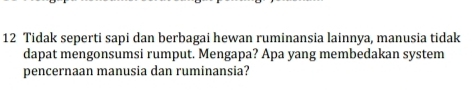 Tidak seperti sapi dan berbagai hewan ruminansia lainnya, manusia tidak 
dapat mengonsumsi rumput. Mengapa? Apa yang membedakan system 
pencernaan manusia dan ruminansia?