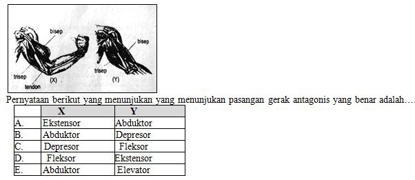 Pernyataan berikut yang menunjukan yang menunjukan pasangan gerak antagonis yang benar adalah.