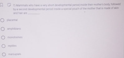 Marmals who have a very short developmental period inside their mother's body, followed
by a second developmental period inside a special pouch of the mother that is made of skin
and hair are_
placental
amphibians
monotremes
reptiles
marsupials