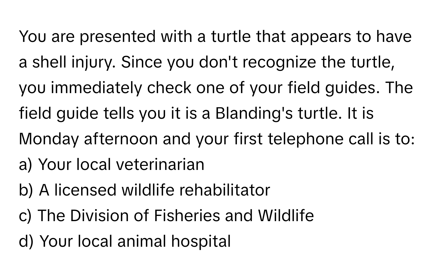 You are presented with a turtle that appears to have a shell injury. Since you don't recognize the turtle, you immediately check one of your field guides. The field guide tells you it is a Blanding's turtle. It is Monday afternoon and your first telephone call is to:
a) Your local veterinarian
b) A licensed wildlife rehabilitator
c) The Division of Fisheries and Wildlife
d) Your local animal hospital