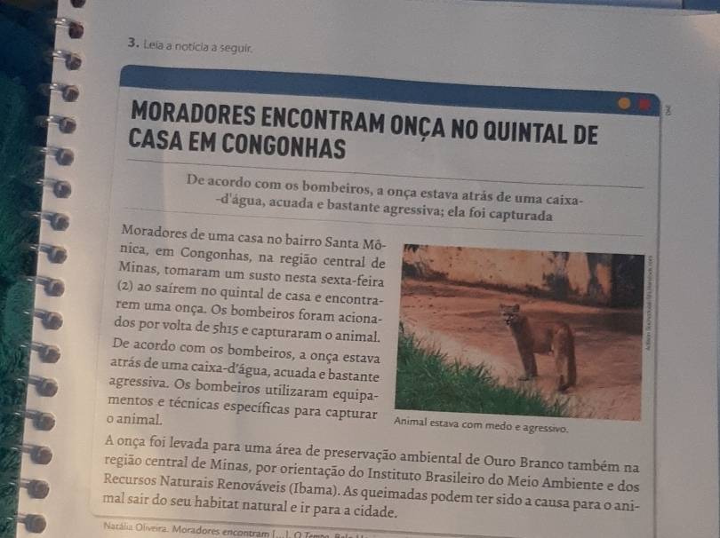 Leia a noticia a seguir 
x 
MORADORES ENCONTRAM ONÇA NO QUINTAL DE 
CASA EM CONGONHAS 
De acordo com os bombeiros, a onça estava atrás de uma caixa- 
-d'água, acuada e bastante agressiva; ela foi capturada 
Moradores de uma casa no bairro Santa Mô 
nica, em Congonhas, na região central d 
Minas, tomaram um susto nesta sexta-feir 
(2) ao saírem no quintal de casa e encontra 
rem uma onça. Os bombeiros foram aciona 
dos por volta de 5h15 e capturaram o animal 
De acordo com os bombeiros, a onça estava 
atrás de uma caixa-d'água, acuada e bastante 
agressiva. Os bombeiros utilizaram equipa- 
mentos e técnicas específicas para capturarAnimal estava com medo e agressivo. 
o animal. 
A onça foi levada para uma área de preservação ambiental de Ouro Branco também na 
região central de Minas, por orientação do Instituto Brasileiro do Meio Ambiente e dos 
Recursos Naturais Renováveis (Ibama). As queimadas podem ter sido a causa para o ani- 
mal sair do seu habitat natural e ir para a cidade. 
Natália Oliveira. Moradores encontram (... J. O T