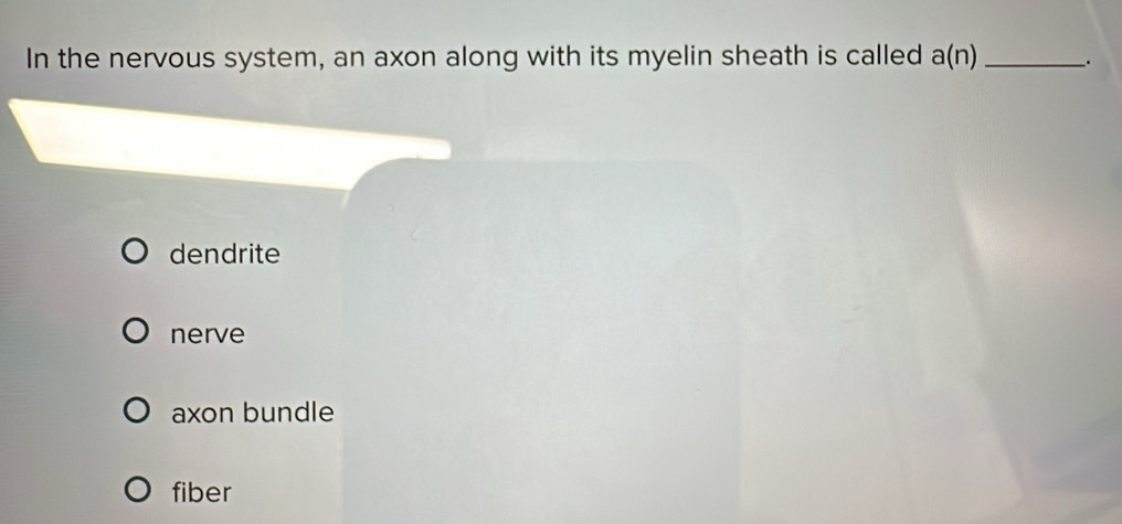 In the nervous system, an axon along with its myelin sheath is called a(n) _、.
dendrite
nerve
axon bundle
fiber