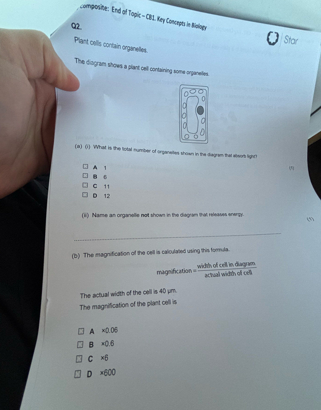 composite: End of Topic - CB1. Key Concepts in Biology
Q2.
Star
Plant cells contain organelles.
The diagram shows a plant cell containing some organelles.
(a) (i) What is the total number of organelles shown in the diagram that absorb light?
A 1 (1)
B 6
C 11
D 12
(ii) Name an organelle not shown in the diagram that releases energy.
(1)
_
(b) The magnification of the cell is calculated using this formula.
magnification width of cell in diagram
actual width of cell
The actual width of the cell is 40 μm.
The magnification of the plant cell is
A * 0.06
B * 0.6
C * 6
D * 600