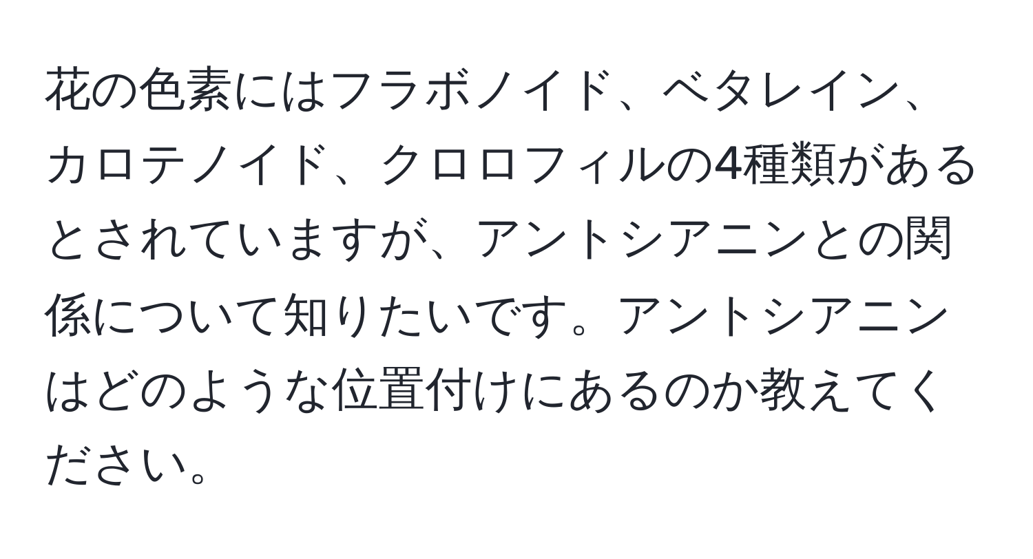 花の色素にはフラボノイド、ベタレイン、カロテノイド、クロロフィルの4種類があるとされていますが、アントシアニンとの関係について知りたいです。アントシアニンはどのような位置付けにあるのか教えてください。