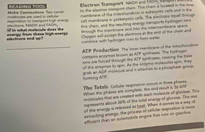 READING TOOL Electron Transport NADH and FABH, amen e o 
molecules are used in cellular to the electron transport chain. This chain is located in the inner 
Make Connections Two carrier 
membrane of the mitochondrion in eukaryotic cells and in the 
respiration to transport high energy cell membrane in prokaryotic cells. The electrons travel through 
electrons: NADH and FADH, this chain, and the resulting energy transports hydrogen ions 
In what molecule does the 
energy from these high-energy through the mernbrane and into the intermembrane space. 
electrons end up? Oxygen will accept the electrons at the end of the chain and 
combine with hydrogen ions to form water. 
_ATP Production The inner membrane of the mitochondrion 
contains enzymes known as ATP synthases. The hydrogen 
ions are forced through the ATP synthases, causing the base 
of the enzymes to spin. As the enzyme molecules spin, they 
grab an ADP molecule and it attaches to a phosphate group, 
forming ATP 
The Totals Cellular respiration occurs in three phases. 
When the phases are complete, the end result is 36 ATP
molecules that are created with each molecule of glucose. This 
represents about 36% of the total energy of glucose. The rest 
of the energy is released as heat. When it comes to a way of 
extracting energy, the process of cellular respiration is more 
efficient than an automobile engine that runs on gasoline.