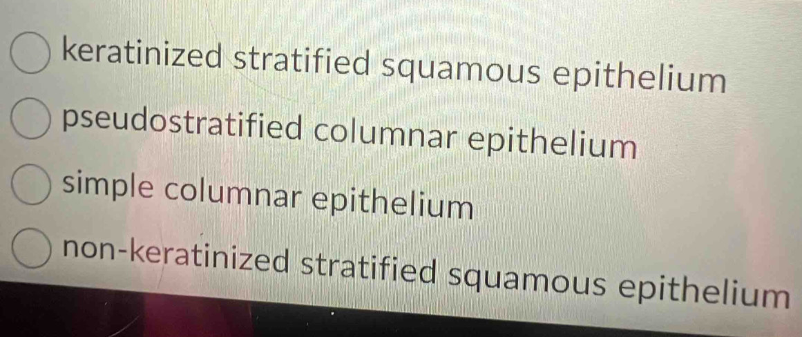 keratinized stratified squamous epithelium
pseudostratified columnar epithelium
simple columnar epithelium
non-keratinized stratified squamous epithelium