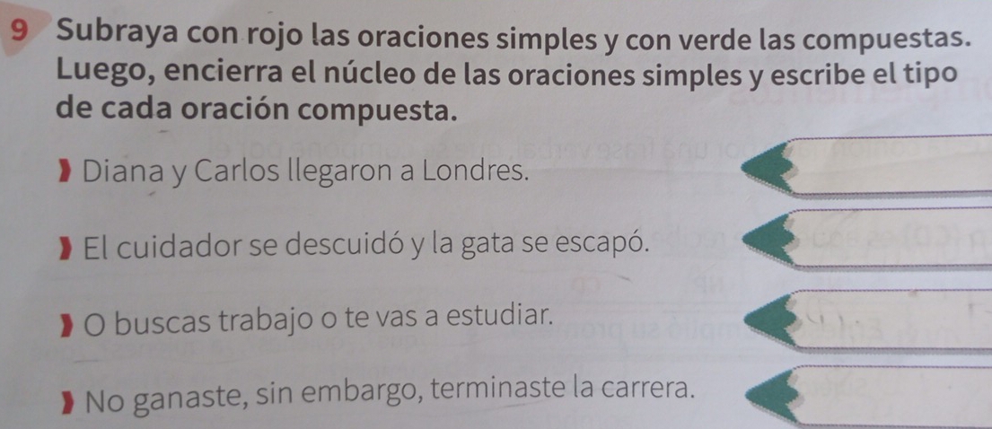 Subraya con rojo las oraciones simples y con verde las compuestas. 
Luego, encierra el núcleo de las oraciones simples y escribe el tipo 
de cada oración compuesta. 
Diana y Carlos llegaron a Londres. 
El cuidador se descuidó y la gata se escapó. 
O buscas trabajo o te vas a estudiar. 
No ganaste, sin embargo, terminaste la carrera.