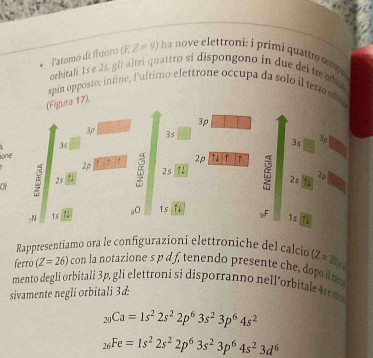 l'atomo di fluoro (F,Z=9) ha nove elettroni: i primi quattro occupn 
orbitali 1s e 2s, gli altri quattro si dispongono in due dei tre om t 
spin opposto; infine, l'ultimo elettrone occupa da solo il terzo on is 
(Figura 17).
3p
3p
3s
3s
3s
ione 3p
2p a ↑ ↑
2p 11 ↑ ↑
2s ↑
0 ā 2s ↑ 2s 2p
80 1s
gF
7N 1s 1s ↑l 
Rappresentiamo ora le configurazioni elettroniche del calcio (Z=20)
to 
ferro (Z=26) con la notazione s p d f, tenendo presente che, dopo ilriem 
mento degli orbitali 3p, gli elettroni si disporranno nell’orbitale 4s e s 
sivamente negli orbitali 3d :
_20Ca=1s^22s^22p^63s^23p^64s^2
_26Fe=1s^22s^22p^63s^23p^64s^23d^6