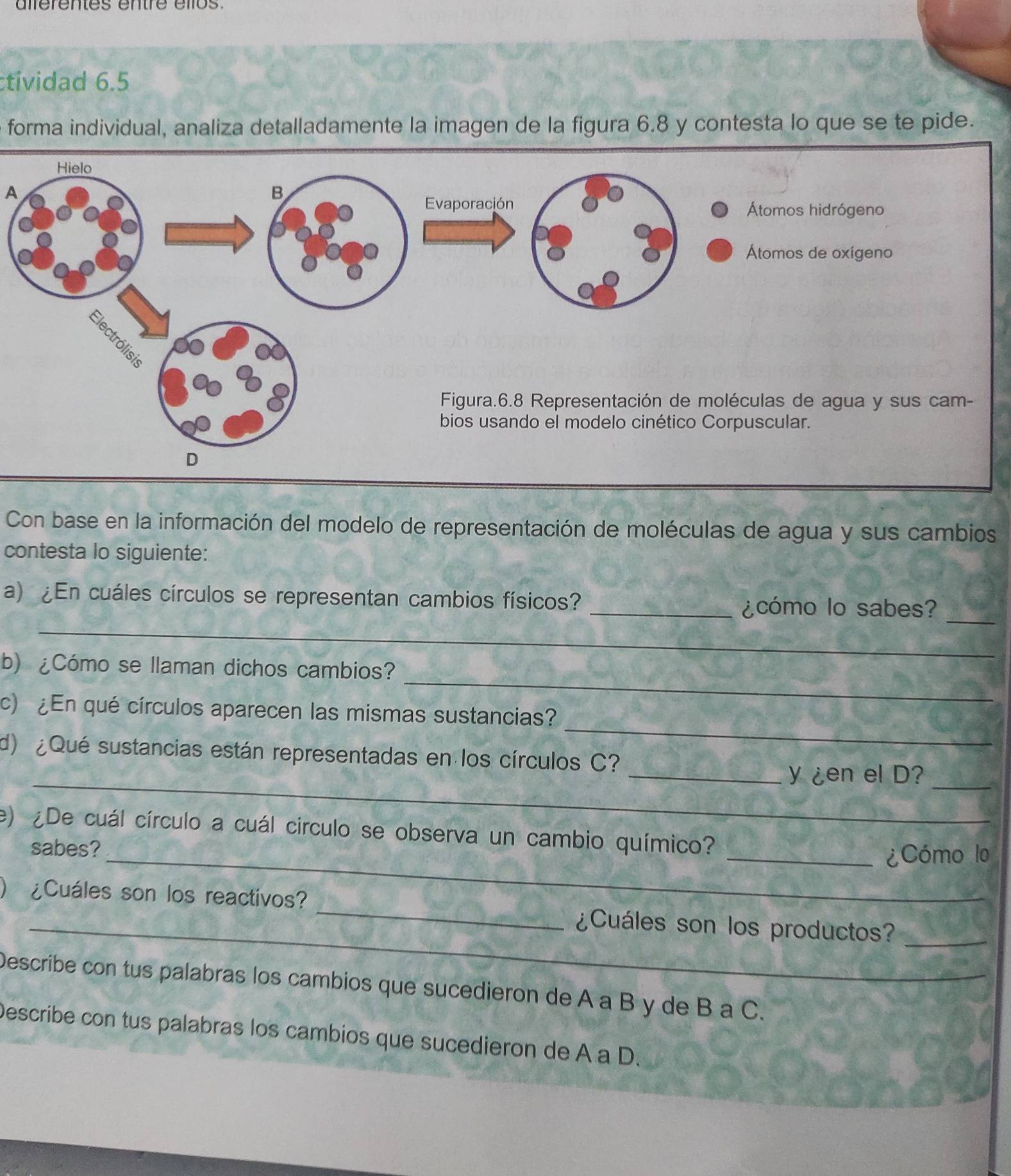 aiférentes entre élos. 
tividad 6.5 
forma individual, analiza detalladamente la imagen de la figura 6.8 y contesta lo que se te pide. 
A 
Con base en la información del modelo de representación de moléculas de agua y sus cambios 
contesta lo siguiente: 
_ 
a) ¿En cuáles círculos se representan cambios físicos? 
_ 
_¿cómo lo sabes? 
_ 
b) ¿Cómo se llaman dichos cambios? 
_ 
c)¿En qué círculos aparecen las mismas sustancias? 
d) ¿Qué sustancias están representadas en los círculos C? 
_y ¿en el D?_ 
e) ¿De cuál círculo a cuál círculo se observa un cambio químico? 
sabes? 
_¿Cómo lo 
_ 
¿Cuáles son los reactivos? 
_¿Cuáles son los productos?_ 
Describe con tus palabras los cambios que sucedieron de A a B y de B a C. 
Describe con tus palabras los cambios que sucedieron de A a D.