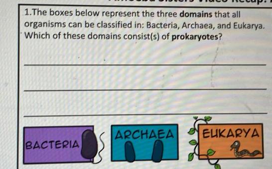 The boxes below represent the three domains that all 
organisms can be classified in: Bacteria, Archaea, and Eukarya. 
Which of these domains consist(s) of prokaryotes? 
_ 
_ 
_ 
ARCHAEA EUKARYA 
BACTERIA