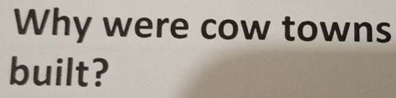 Why were cow towns 
built?