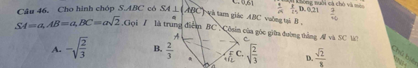 Thôn không nuôi cá chó và mèo
C. 0,61  4/45  D. 0,21
Câu 46. Cho hình chóp S. ABC có SA⊥ (ABC) và tam giác ABC vuỡng tại B.
q
SA=a, AB=a, BC=asqrt(2).Gọi / là trung điểm BC Côsin của góc giữa đường thằng AI và SC là?
A C
A. -sqrt(frac 2)3 B.  2/3  a F C. sqrt(frac 2)3 D.  sqrt(2)/8  Chủ bịê 4