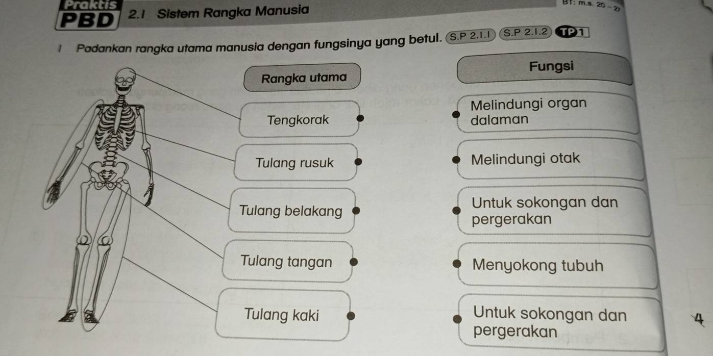 Praktis 
PBD 2.1 Sistem Rangka Manusia 
Bf: m.s. 20 - 2
1 Padankan rangka utama manusia dengan fungsinya yang betul. S.P 2.1.1 S. P 2. 1.2 TP 
Fungsi 
Rangka utama 
Melindungi organ 
Tengkorak dalaman 
Tulang rusuk Melindungi otak 
Untuk sokongan dan 
Tulang belakang 
pergerakan 
Tulang tangan Menyokong tubuh 
Tulang kaki Untuk sokongan dan 
pergerakan