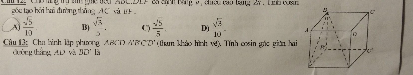 Cau 12: Cho lăng trụ tam giác đếu ' ABC. DEF có cạnh bang a , chiếu cáo bang 24. Tinh cosin
góc tạo bởi hai đường thắng AC và BF.
,A)  sqrt(5)/10 .  sqrt(3)/5 .  sqrt(5)/5 .  sqrt(3)/10 . 
B)
C)
D)
Câu 13: Cho hình lập phương ABCD. A'B'C'D' (tham khảo hình vhat e). Tính cosin góc giữa hai
đường thắng AD và BD' là