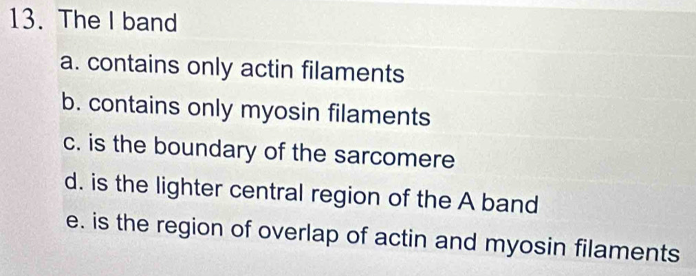 The I band
a. contains only actin filaments
b. contains only myosin filaments
c. is the boundary of the sarcomere
d. is the lighter central region of the A band
e. is the region of overlap of actin and myosin filaments