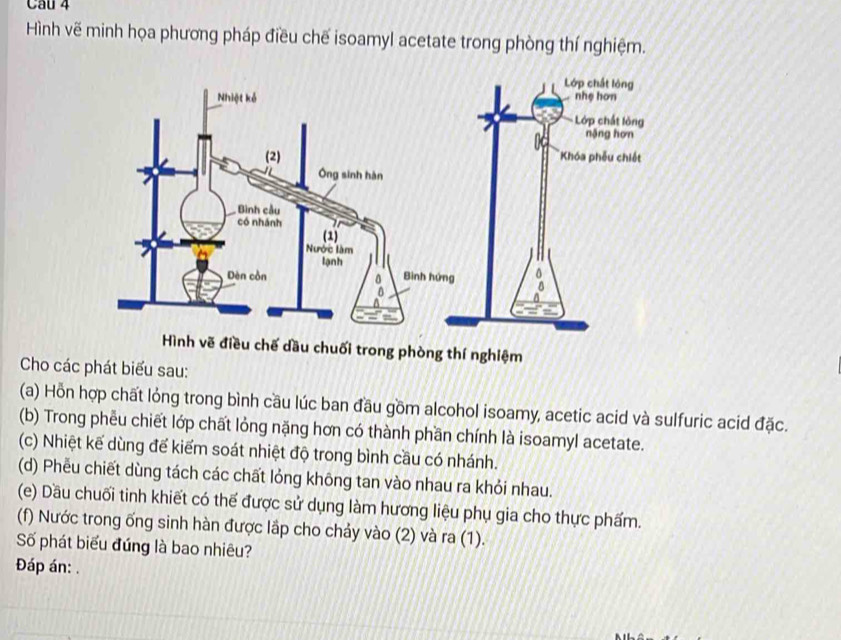 Hình vẽ minh họa phương pháp điều chế isoamyl acetate trong phòng thí nghiệm. 
iều chế dầu chuối trong phòng thí nghiệm 
Cho các phát biểu sau: 
(a) Hỗn hợp chất lỏng trong bình cầu lúc ban đầu gồm alcohol isoamy, acetic acid và sulfuric acid đặc. 
(b) Trong phêu chiết lớp chất lỏng nặng hơn có thành phần chính là isoamyl acetate. 
(c) Nhiệt kế dùng để kiểm soát nhiệt độ trong bình cầu có nhánh. 
(d) Phều chiết dùng tách các chất lỏng không tan vào nhau ra khỏi nhau. 
(e) Dầu chuối tinh khiết có thế được sử dụng làm hương liệu phụ gia cho thực phẩm. 
(f) Nước trong ống sinh hàn được lắp cho chảy vào (2) và ra (1). 
Số phát biểu đứng là bao nhiêu? 
Đáp án: .