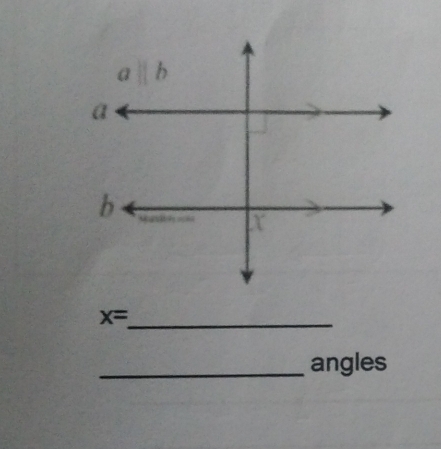 x=_ 
angles