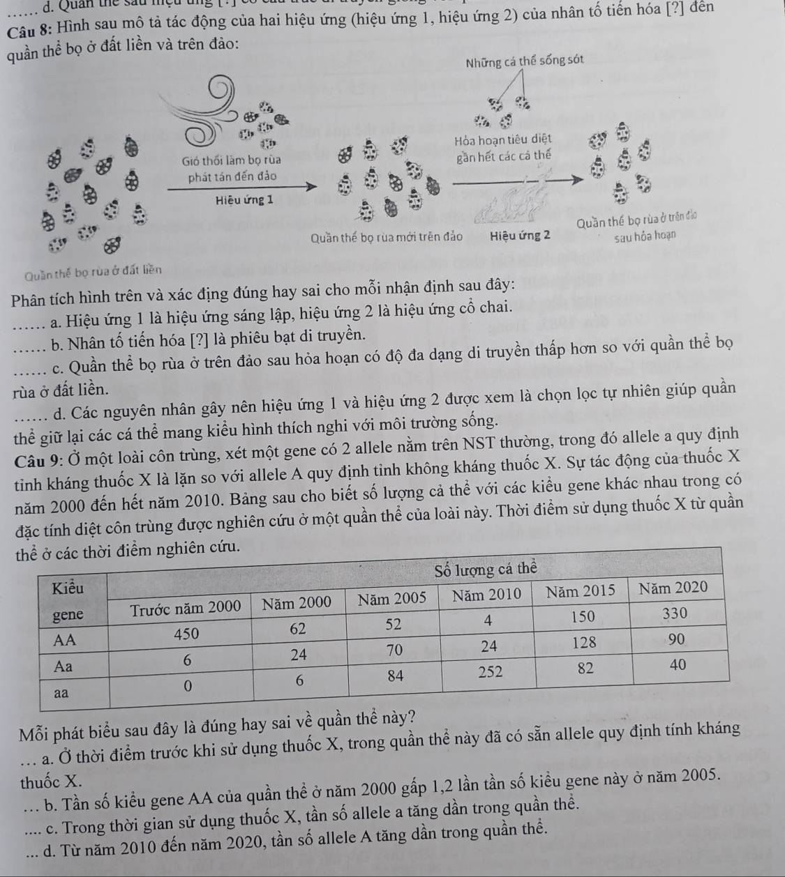 Quan the sau mệu tng 1
Câu 8: Hình sau mô tả tác động của hai hiệu ứng (hiệu ứng 1, hiệu ứng 2) của nhân tố tiến hóa [?] đến
quần thể bọ ở đất liền và trên đảo:
Những cá thể sống sót
Hỏa hoạn tiêu diệt
Gió thối làm bọ rùa gần hết các cả thế
phát tán đến đảo
_
_
Hiệu ứng 1
Quần thế bọ rùa ở trên đạo
Quần thế bọ rùa mới trên đảo Hiệu ứng 2
Quần thế bọ rùa ở đất liền sau hỏa hoạn
Phân tích hình trên và xác địng đúng hay sai cho mỗi nhận định sau đây:
_a. Hiệu ứng 1 là hiệu ứng sáng lập, hiệu ứng 2 là hiệu ứng cổ chai.
_b. Nhân tố tiến hóa [?] là phiêu bạt di truyền.
_c. Quần thể bọ rùa ở trên đảo sau hỏa hoạn có độ đa dạng di truyền thấp hơn so với quần thể bọ
rùa ở đất liền.
d. Các nguyên nhân gây nên hiệu ứng 1 và hiệu ứng 2 được xem là chọn lọc tự nhiên giúp quần
thể giữ lại các cá thể mang kiểu hình thích nghi với môi trường sống.
Câu 9: Ở một loài côn trùng, xét một gene có 2 allele nằm trên NST thường, trong đó allele a quy định
tinh kháng thuốc X là lặn so với allele A quy định tỉnh không kháng thuốc X. Sự tác động của thuốc X
năm 2000 đến hết năm 2010. Bảng sau cho biết số lượng cả thể với các kiểu gene khác nhau trong có
đặc tính diệt côn trùng được nghiên cứu ở một quần thể của loài này. Thời điểm sử dụng thuốc X từ quần
Mỗi phát biểu sau đây là đúng hay sai về quần thể này?
_a. Ở thời điểm trước khi sử dụng thuốc X, trong quần thể này đã có sẵn allele quy định tính kháng
thuốc X.
_b. Tần số kiểu gene AA của quần thề ở năm 2000 gấp 1,2 lần tần số kiểu gene này ở năm 2005.
c. Trong thời gian sử dụng thuốc X, tần số allele a tăng dần trong quần thể.
__d. Từ năm 2010 đến năm 2020, tần số allele A tăng dần trong quần thể.