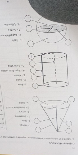 CUERPOS REDONDOS 
I. - Escribe en los círculos el número que corresponda y contesta las pr 
.- Vértice 1 - < 
2.- Base cilin 
3.- Generatriz 2 - 
co 
4.- Altura 3. 
5.- Superficie lateral 
6.- Radio 
1.- Base 
2 - Radio 
3.- Altura 
4.- Superficie lateral 
5 - Generatriz 
1.- Radio 
2.- Superficie cur 
3.- Centro 
4 - Diámetro 
67