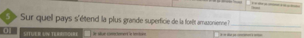 at qui demontre l'énoncé Ttevanicil 
le re rélèrve pas connentement de suns qu déentven 
5 > Sur quel pays s'étend la plus grande superficie de la forêt amazonienne?_ 
0 SITUER UN TERRITOIRE le situe correctement le territoire. Je ne sitiue gus comectement le teriur