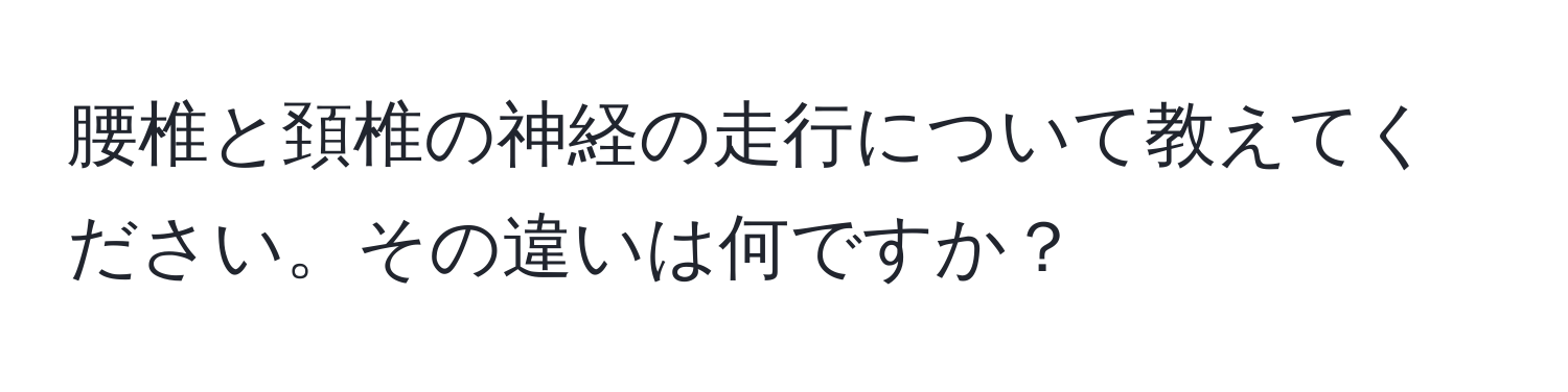 腰椎と頚椎の神経の走行について教えてください。その違いは何ですか？