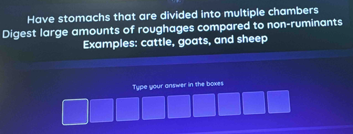 Have stomachs that are divided into multiple chambers 
Digest large amounts of roughages compared to non-ruminants 
Examples: cattle, goats, and sheep 
Type your answer in the boxes