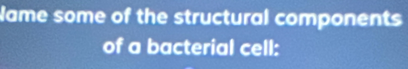 Name some of the structural components 
of a bacterial cell: