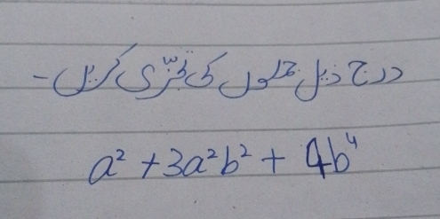 (VY6J52)
a^2+3a^2b^2+4b^4