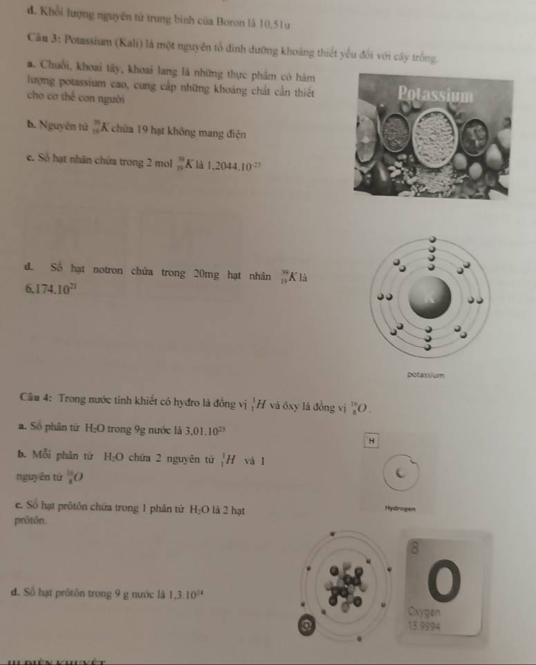 Khối lượng nguyên tử trung bình của Boron là 10,51u 
Cầu 3: Potassium (Kali) là một nguyên tổ đinh dưỡng khoảng thiết yểu đối với cây trồng. 
a. Chuối, khoai tây, khoai lang là những thực phảm có hàm 
lượng potassium cao, cung cấp những khoáng chất cần thiết 
cho cơ thể con người 
b. Nguyên tử _(10)^(70)K chứa 19 hạt không mang điện 
e. Số hạt nhân chứa trong 2 mol _(19)^(10)K là 1.2044.10^(-23)
đ. Số hạt notron chứa trong 20mg hạt nhân  30/19  K là 
6 174.10^(21)
potassium 
Câu 4: Trong nước tinh khiết có hyđro là đồng vị |H và ôxy là đồng vị _s^((16)O. 
a. Số phân tứ H_2)O trong 9g nước là 3.01.10^(23)
H 
b. Mỗi phân tứ H_2O chứa 2 nguyên tứ _1^(1H vàl 
nguyễn tứ _8^(16)O
c. Số hạt prôtôn chứa trong 1 phân tử H_2)O là 2 hạt Hydrogen 
prôtôn.
8
0 
d. Số hạt prötôn trong 9 g nước là 1.3.10^(24) Oxygen 
a 15.9994