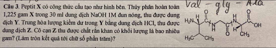 Peptit X có công thức cầu tạo như hình bên. Thủy phân hoàn toà
1,225 gam X trong 30 ml dung dịch NaOH 1M đun nóng, thu được dun
dịch Y. Trung hòa lượng kiềm dư trong Y bằng dung dịch HCl, thu đượ
dung dịch Z. Cô cạn Z thu được chất rắn khan có khối lượng là bao nhiê
gam? (Làm tròn kết quả tới chữ số phần trăm)?