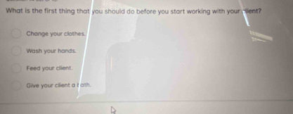 What is the first thing that you should do before you start working with your client?
Change your clothes.
Wash your hands.
Feed your client.
Give your client a t ath.