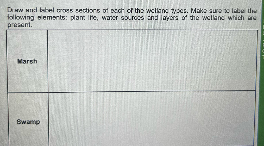 Draw and label cross sections of each of the wetland types. Make sure to label the 
following elements: plant life, water sources and layers of the wetland which are