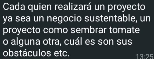 Cada quien realizará un proyecto 
ya sea un negocio sustentable, un 
proyecto como sembrar tomate 
o alguna otra, cuál es son sus 
obstáculos etc.
13:25