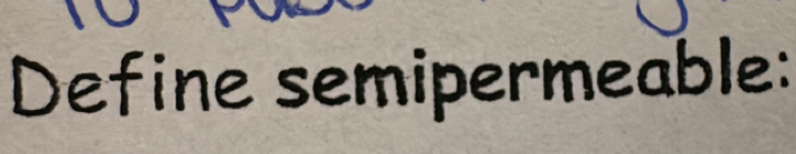 Define semipermeable: