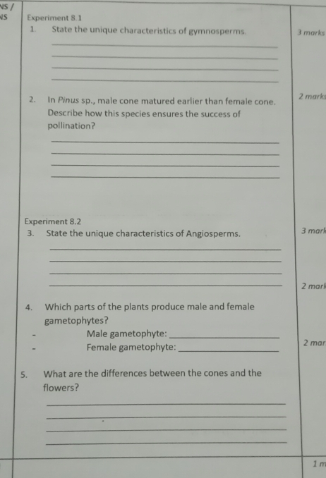 NS / 
S Experiment 8.1 
1. State the unique characteristics of gymnosperms 3 marks 
_ 
_ 
_ 
_ 
2. In Pinus sp., male cone matured earlier than female cone. 2 marks 
Describe how this species ensures the success of 
pollination? 
_ 
_ 
_ 
_ 
Experiment 8.2 
3. State the unique characteristics of Angiosperms. 3 mark 
_ 
_ 
_ 
_2 mark 
4. Which parts of the plants produce male and female 
gametophytes? 
Male gametophyte:_ 
Female gametophyte: _2 mar 
5. What are the differences between the cones and the 
flowers? 
_ 
_ 
_ 
_
1m