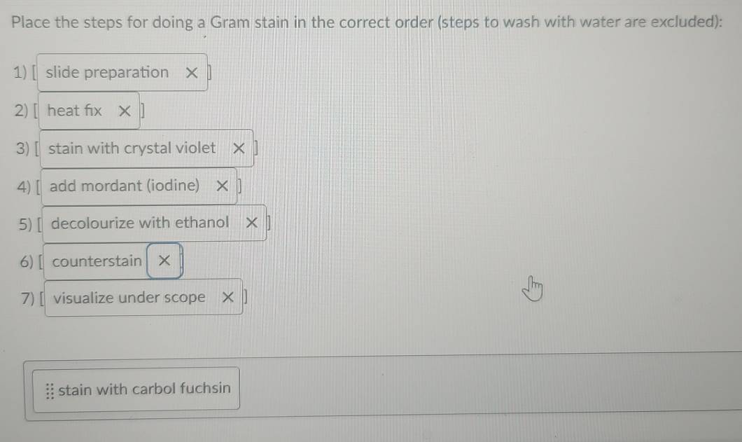 Solved: Place the steps for doing a Gram stain in the correct order ...