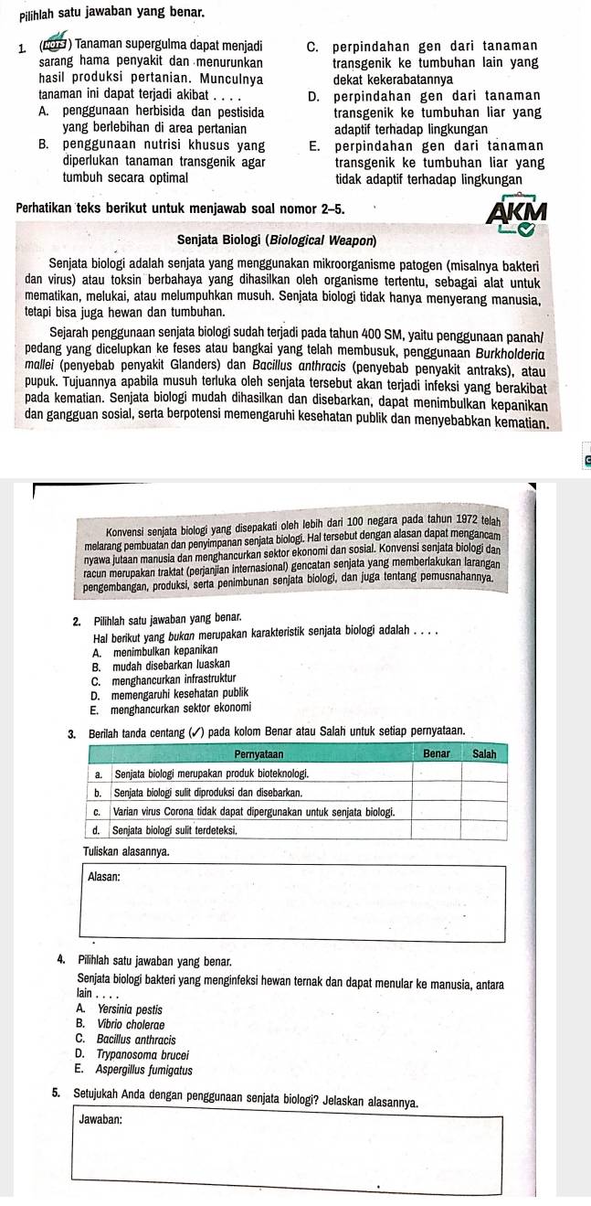 Pilihlah satu jawaban yang benar.
1. (601 ) Tanaman supergulma dapat menjadi C. perpindahan gen dari tanaman
sarang hama penyakit dan menurunkan transgenik ke tumbuhan lain yang
hasil produksi pertanian. Munculnya dekat kekerabatannya
tanaman ini dapat terjadi akibat . . . . D. perpindahan gen dari tanaman
A. penggunaan herbisida dan pestisida transgenik ke tumbuhan liar yang
yang berlebihan di area pertanian adaptif terhadap lingkungan
B. penggunaan nutrisi khusus yang E. perpindahan gen dari tanaman
diperlukan tanaman transgenik agar transgenik ke tumbuhan liar yang
tumbuh secara optimal tidak adaptif terhadap lingkungan
Perhatikan teks berikut untuk menjawab soal nomor 2-5. AKI
Senjata Biologi (Biological Weapon)
Senjata biologi adalah senjata yang menggunakan mikroorganisme patogen (misalnya bakteri
dan virus) atau toksin berbahaya yang dihasilkan oleh organisme tertentu, sebagai alat untuk
mematikan, melukai, atau melumpuhkan musuh. Senjata biologi tidak hanya menyerang manusia,
tetapi bisa juga hewan dan tumbuhan.
Sejarah penggunaan senjata biologi sudah terjadi pada tahun 400 SM, yaitu penggunaan panah/
pedang yang dicelupkan ke feses atau bangkai yang telah membusuk, penggunaan Burkholderia
mallei (penyebab penyakit Glanders) dan Bacillus anthracis (penyebab penyakit antraks), atau
pupuk. Tujuannya apabila musuh terluka oleh senjata tersebut akan terjadi infeksi yang berakibat
pada kematian. Senjata biologi mudah dihasilkan dan disebarkan, dapat menimbulkan kepanikan
dan gangguan sosial, serta berpotensi memengaruhi kesehatan publik dan menyebabkan kematian.
Konvensi senjata biologi yang disepakati oleh lebih dari 100 negara pada tahun 1972 telah
melarang pembuatan dan penyimpanan senjata biologi. Hal tersebut dengan alasan dapat mengancam
nyawa jutaan manusia dan menghancurkan sektor ekonomi dan sosial. Konvensi senjata biologi dan
racun merupakan traktat (perjanjian internasional) gencatan senjata yang memberlakukan larangan
pengembangan, produksi, serta penimbunan senjata biologi, dan juga tentang pemusnahannya
2. Pilihlah satu jawaban yang benar.
Hal berikut yang bukan merupakan karakteristik senjata biologi adalah . . . .
A. menimbulkan kepanikan
B. mudah disebarkan luaskan
C. menghancurkan infrastruktur
D. memengaruhi kesehatan publik
E. menghancurkan sektor ekonomi
3. Berilah tanda centang (✓) pada kolom Benar atau Salah untuk setiap pernyataan.
Tuliskan alasannya.
Alasan:
4. Pilihlah satu jawaban yang benar.
Senjata biologi bakteri yang menginfeksi hewan ternak dan dapat menular ke manusia, antara
lain . .
A. Yersinia pestis
B. Vibrio cholerae
C. Bacillus anthracis
D. Trypanosoma brucei
E. Aspergillus fumigatus
5. Setujukah Anda dengan penggunaan senjata biologi? Jelaskan alasannya.
Jawaban: