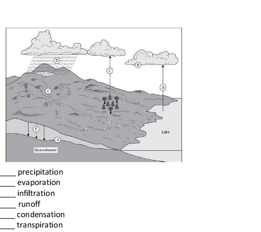 _precipitation
_evaporation
_
infiltration
_
runoff
_condensation
_transpiration