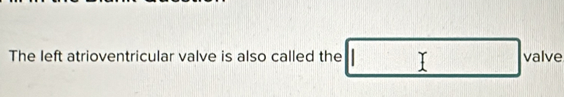 The left atrioventricular valve is also called the valve