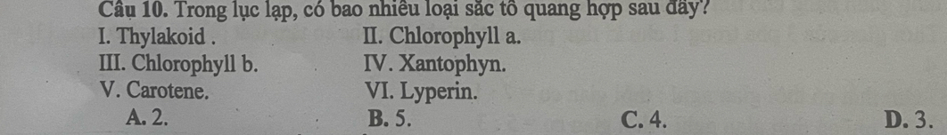 Trong lục lạp, có bao nhiều loại sắc tô quang hợp sau đây?
I. Thylakoid . II. Chlorophyll a.
III. Chlorophyll b. IV. Xantophyn.
V. Carotene. VI. Lyperin.
A. 2. B. 5. C. 4. D. 3.