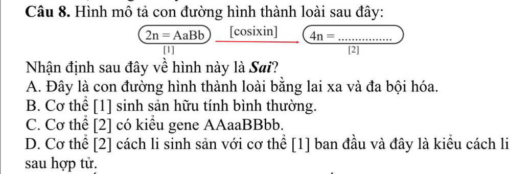 Hình mô tả con đường hình thành loài sau đây:
2n=AaBb [cosixin] 4n=..... ..... 
[1] [2]
Nhận định sau đây về hình này là Sai?
A. Đây là con đường hình thành loài bằng lai xa và đa bội hóa.
B. Cơ thể [1] sinh sản hữu tính bình thường.
C. Cơ thể [2] có kiểu gene AAaaBBbb.
D. Cơ thể [2] cách li sinh sản với cơ thể [1] ban đầu và đây là kiểu cách li
sau hợp tử.