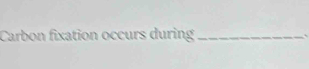 Carbon fixation occurs during_ 
`