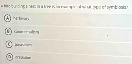 A bird building a nest in a tree is an example of what type of symbiosis?
A herbivory
B commensalism
C parasitism
D predation