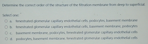 Determine the correct order of the structure of the filtration membrane from deep to superficial.
Select one:
a. fenestrated glomerular capillary endothelial cells, podocytes, basement membrane
b. fenestrated glomerular capillary endothelial cells, basement membrane, podocytes
c. basement membrane, podocytes, fenestrated glomerular capillary endothelial cells
d. podocytes, basement membrane, fenestrated glomerular capillary endothelial cells