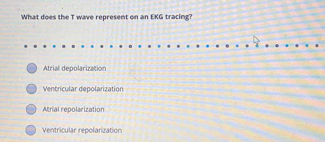 What does the T wave represent on an EKG tracing?
Atrial depolarization
Ventricular depolarization
Atrial repolarization
Ventricular repolarization