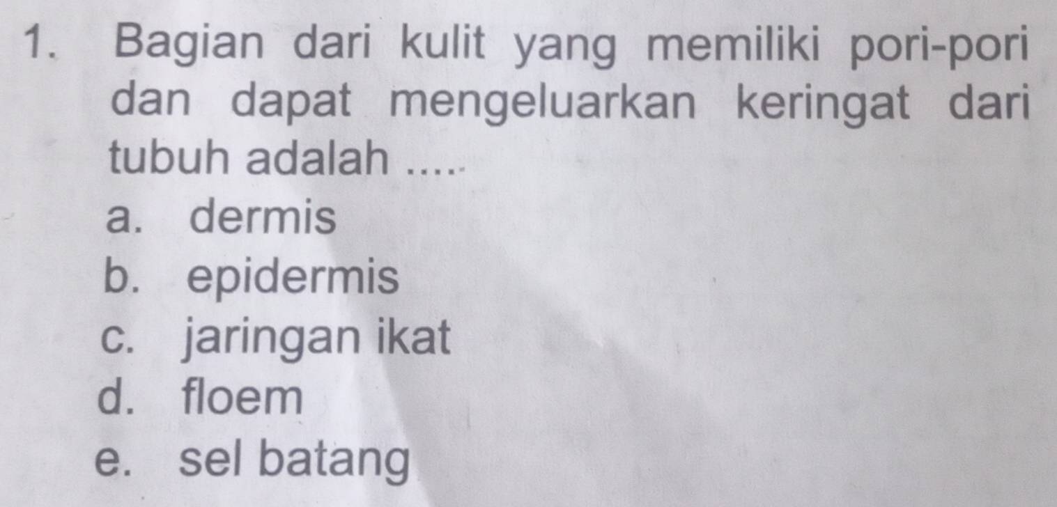 Bagian dari kulit yang memiliki pori-pori
dan dapat mengeluarkan keringat dari
tubuh adalah .....
a. dermis
b. epidermis
c. jaringan ikat
d. floem
e. sel batang