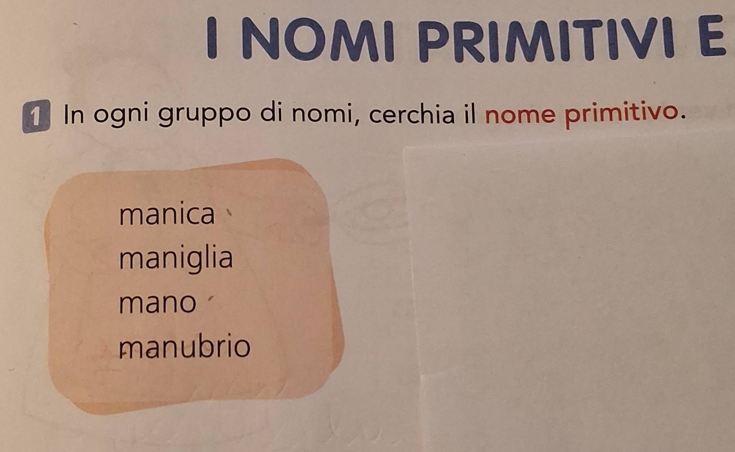 NOMI PRIMITIVI E
1 In ogni gruppo di nomi, cerchia il nome primitivo.
manica
maniglia
mano
manubrio