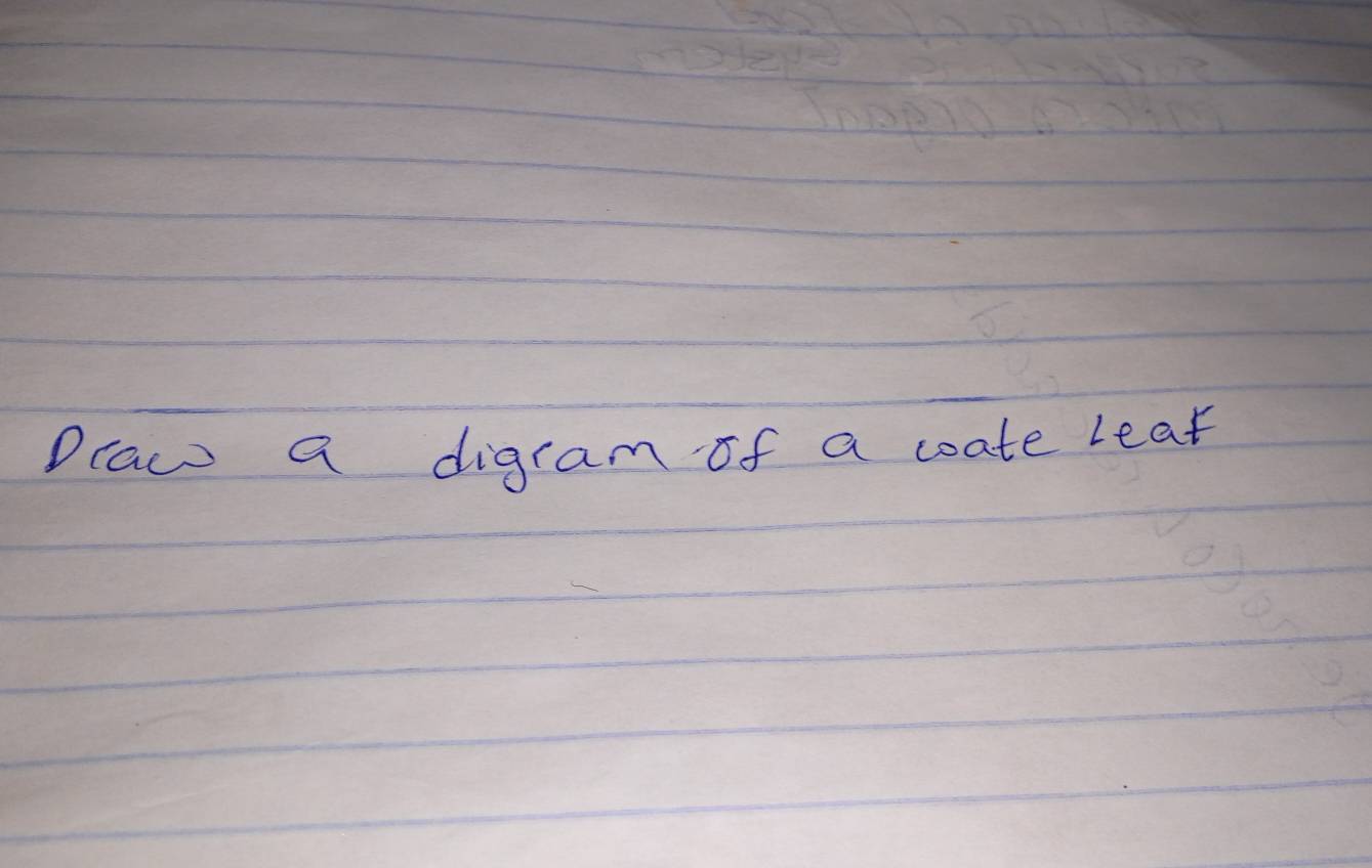 Draw a digram of a coate leat