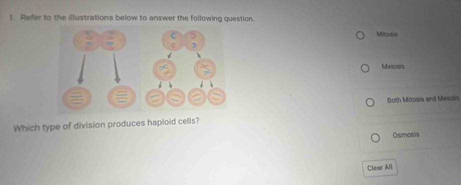 Refer to the illustrations below to answer the following question.
Mitosis
Meiosis
Both Mitosis and Meiosis
Which type of division produces haploid cells?
Osmosis
Clear All